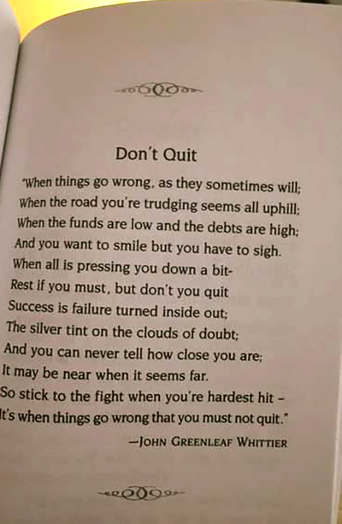 scouty 🇵🇹 tweet media