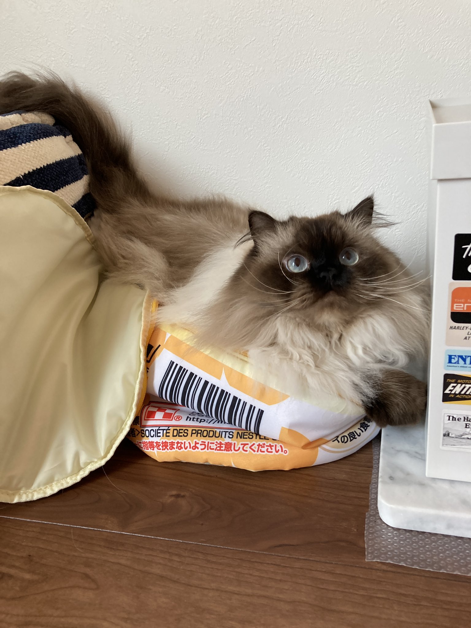 ポンちゃん Ponponcat22 Twitter