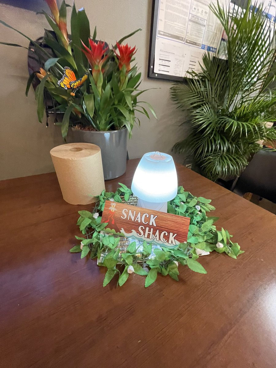 Blanca Feyjoo/ASM 6315 tweet media