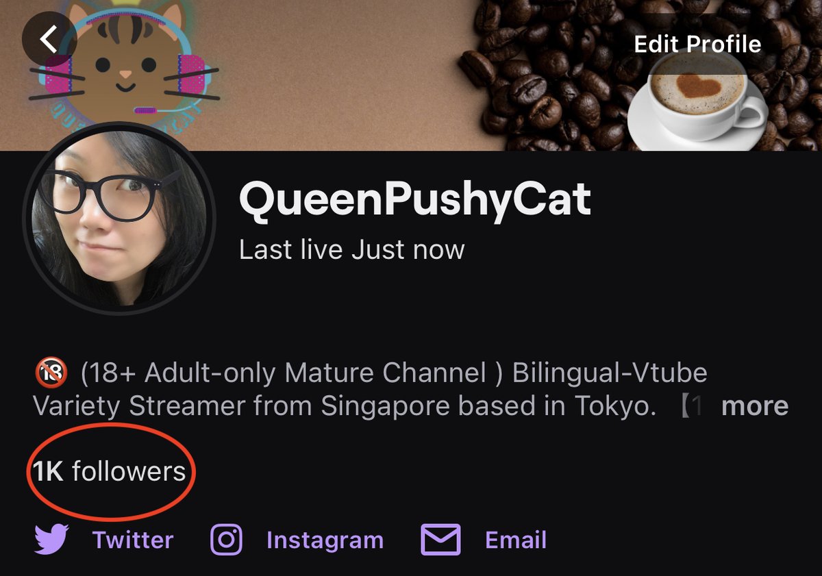 🙀🙀 Thank you, my friends! You all helped me get to this milestone. Never have I expected this when I started streaming, many of you already get to where I am (for those who haven't, you will), and I appreciate the friendship I've made throughout this journey! ❤️ 🥹
