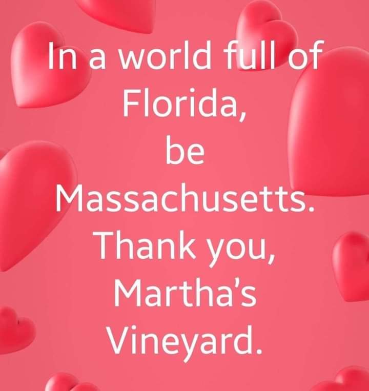 GabrishL's tweet photo. @GovRonDeSantis We deserve better than DeSantis. https://t.co/Z9NXaYWhF0