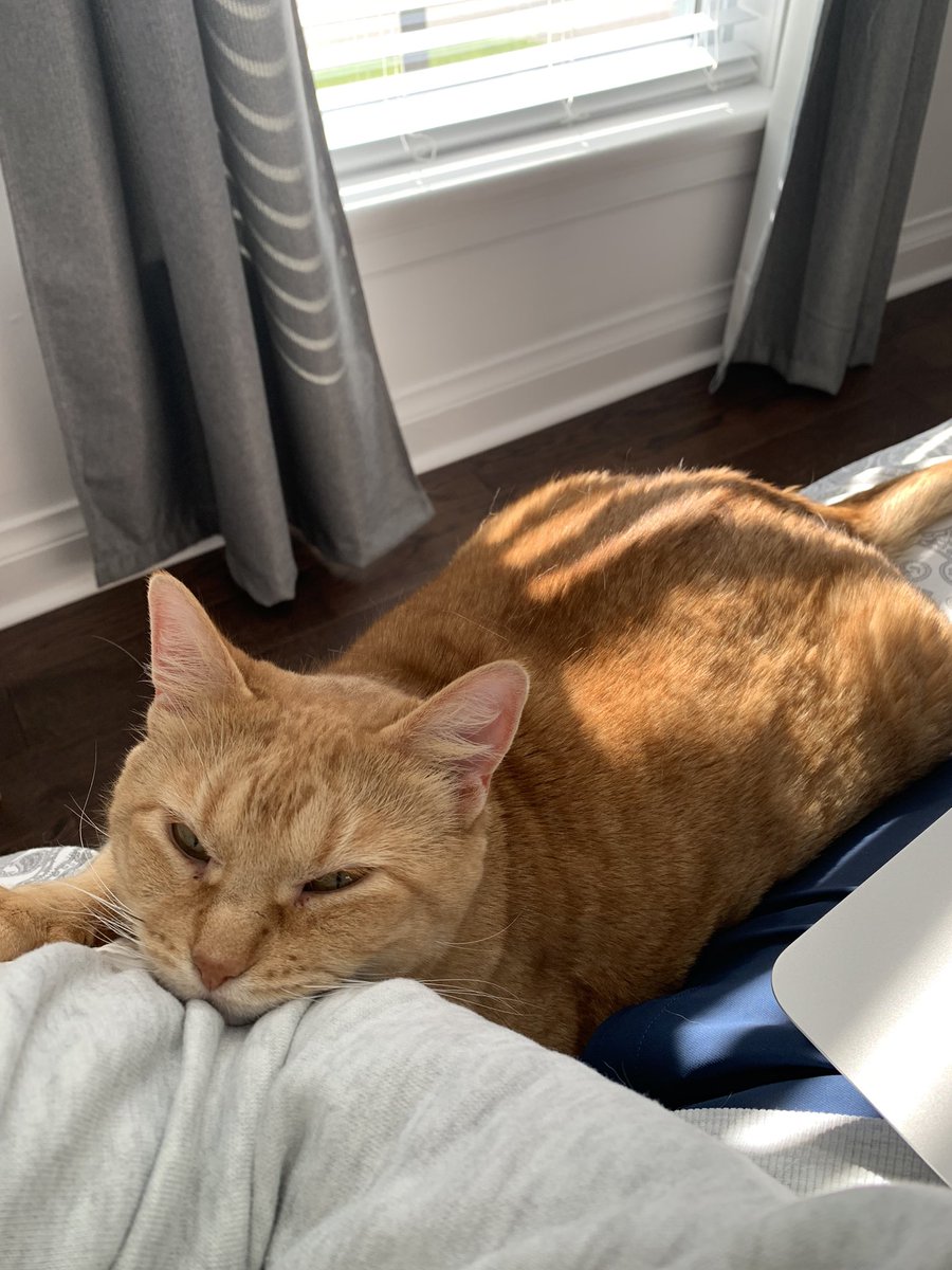 liddylib's tweet photo. @aliversluis Sorry to hear this, Ali. Mollie and I are thinking of you. Hope that tomorrow is a better day ❤️ https://t.co/8rQcG5wyQW