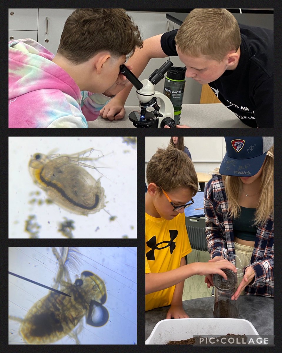 LaureenNickel's tweet photo. A great day in the science lab! 7C constructed ecosystems in bottles. 8C prepared wet mount slides and viewed some amazing organisms that were living in our ditch water. ⁦@NMSHanover⁩ https://t.co/DVtQOurf3W