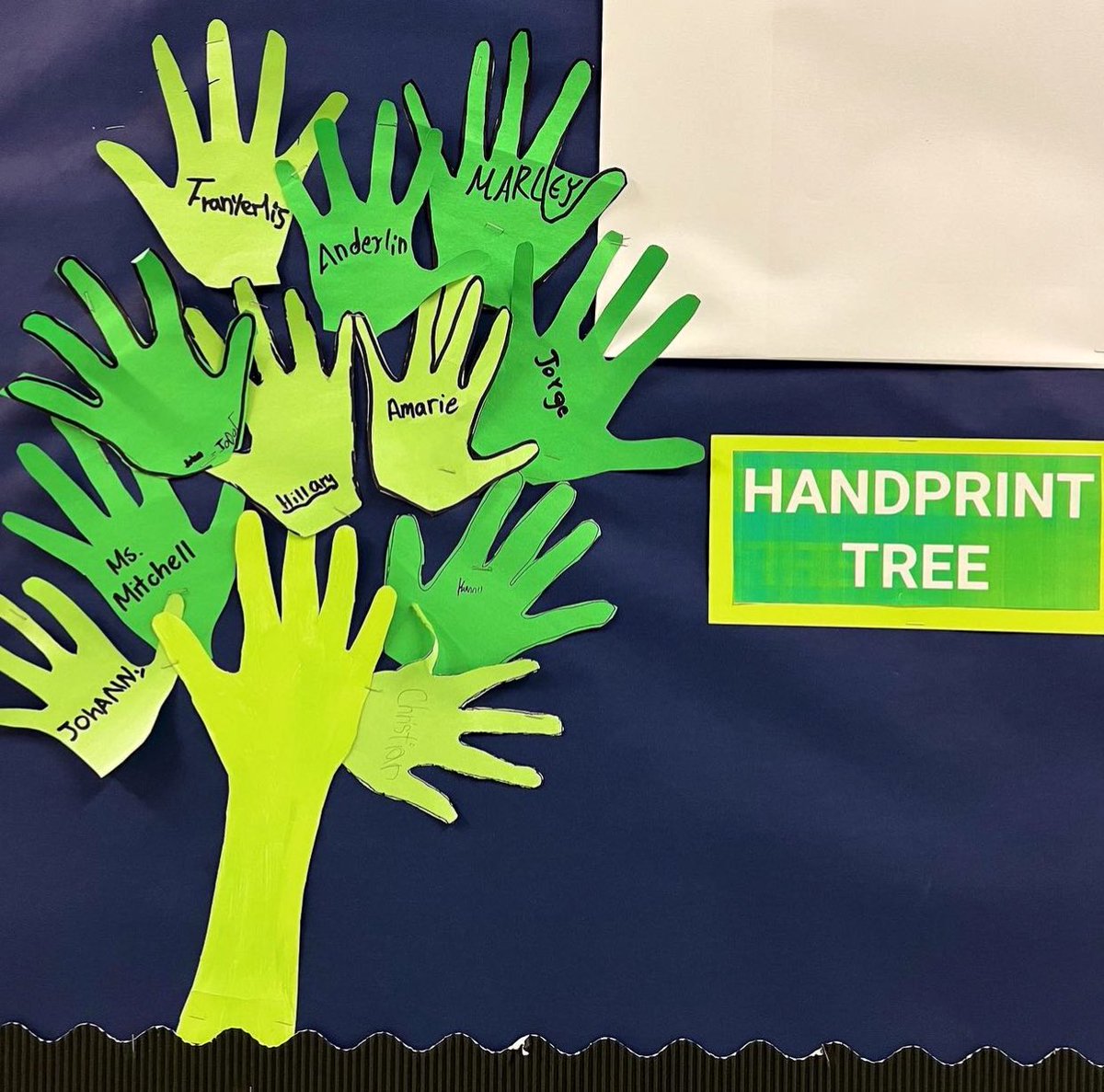 Dual Language MS tweet media