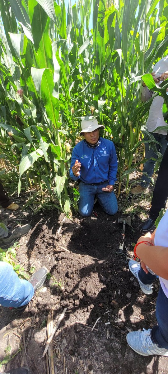 jdmartinezsalga's tweet photo. Estamos de gira por el HUB bajío de México, en el marco de la iniciativa AgriLAC del @CGIAR, con nuestros colegas del @CIMMYTesp. Queremos comprender a detalle este enfoque de desarrollo basado en investigación para poder adaptarlo despues a las condiciones de Guatemala. https://t.co/LpWnMMpe17