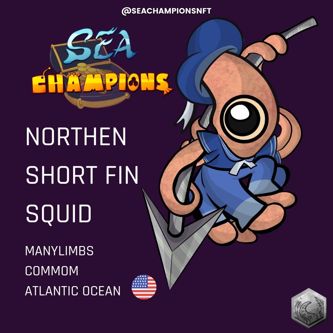 Get to know a little better one of our champions of the seven seas.

Johnny the Sailor Squid(Northen Short Fin Squid)They are a highly migratory and short-lived species, with a lifespan of less than a year, feeding mainly on fish and crustaceans.
