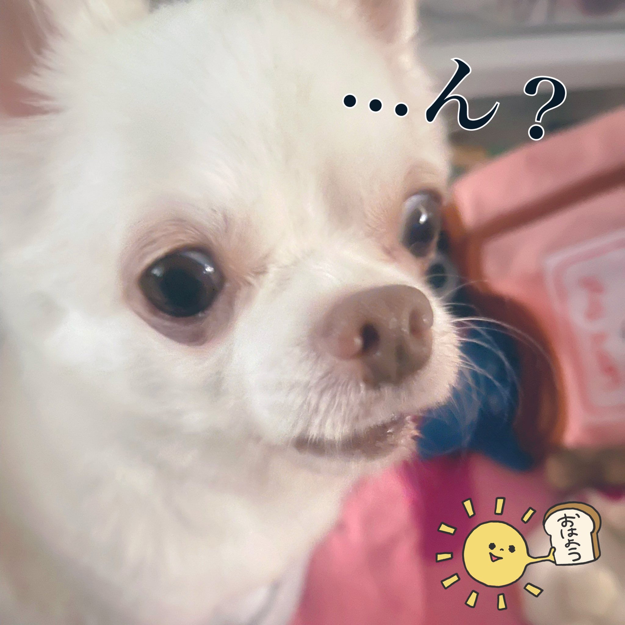 オムツ Twitter Search Twitter