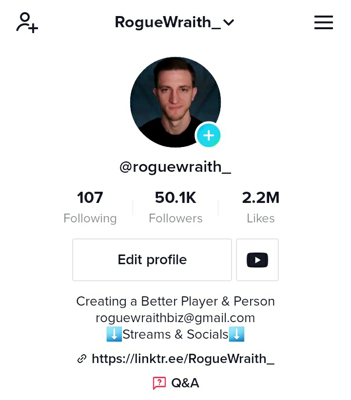 RogueWraith tweet media