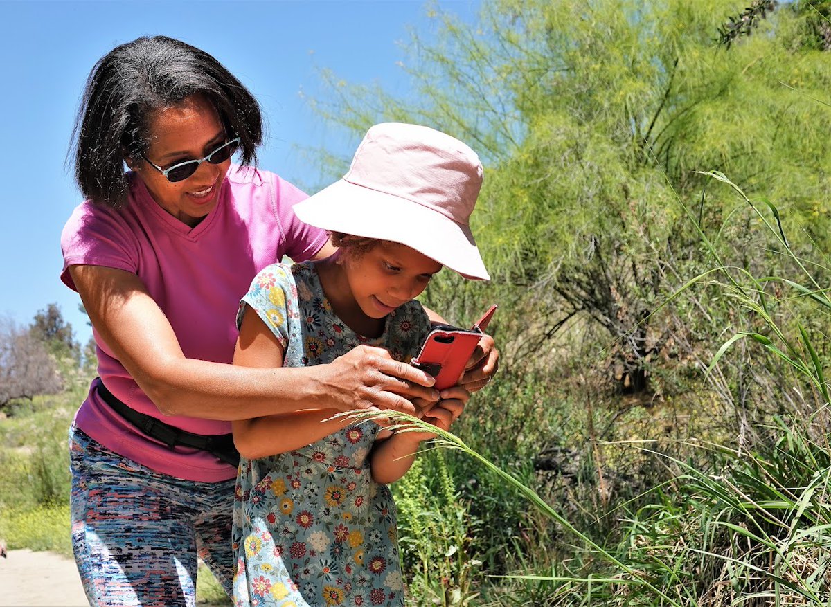 ArroyoSeco5's tweet photo. Explore observation cold spots near you to map observations and help researchers understand which species live there. #LABioBlitz https://t.co/PnFzb7IH7Z