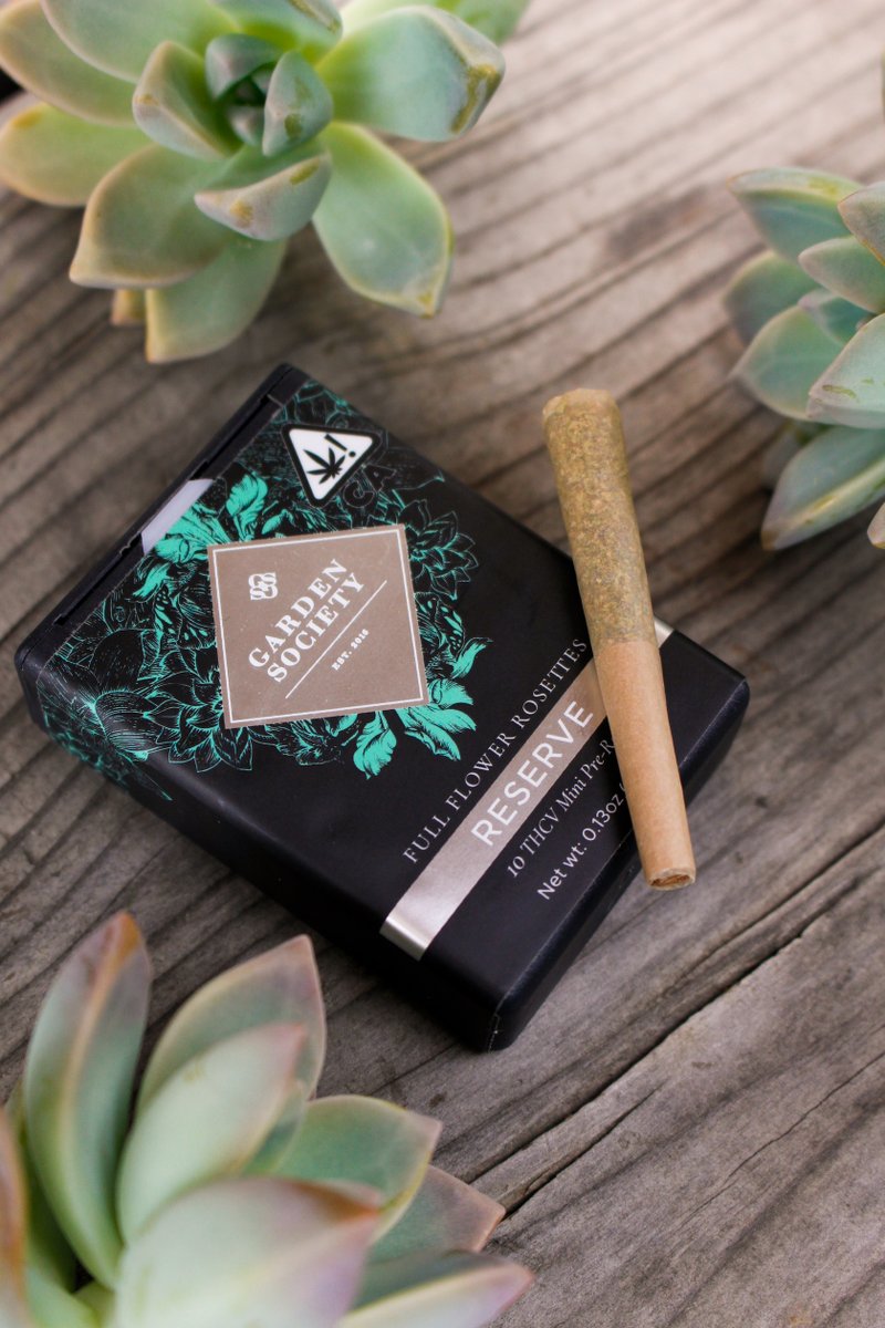 What's your favorite quality of THCV? Increased focus? More motivation? Appetite suppression?