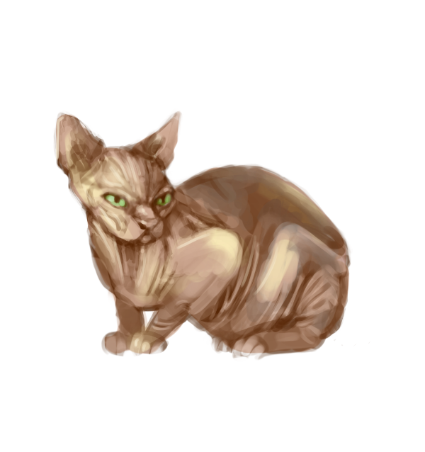 Cat sketch that I drew in april
#sketch #art #drawing #digitalart