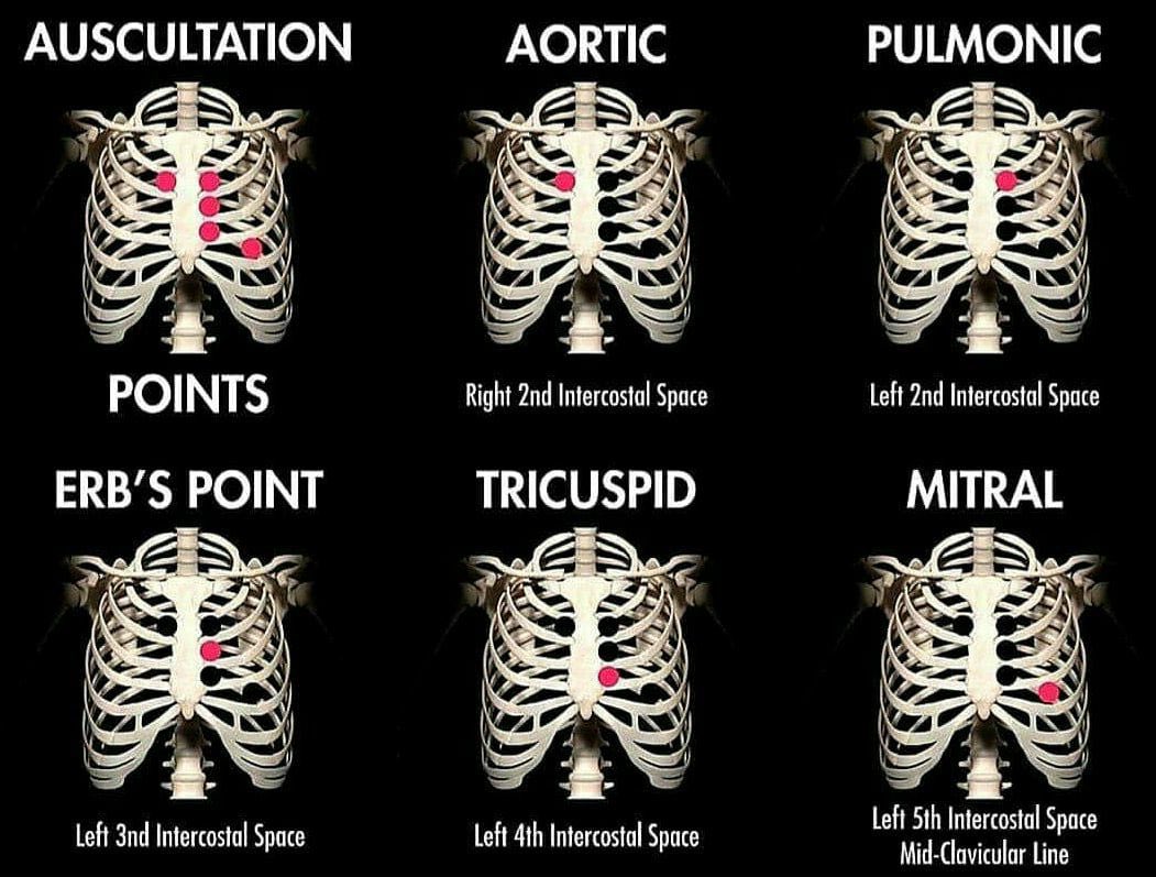 Learning about heart auscultation points