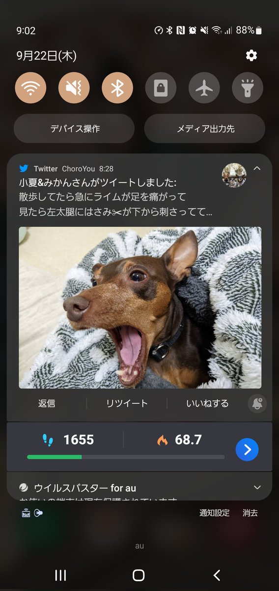 ChoroYou's tweet photo. @konatsutomikan 通知が来て､見てビックリΣ(ﾟдﾟ；)

夢で良かったです๐·°(৹˃ᗝ˂৹)°·๐ https://t.co/TQlaF0xmv7