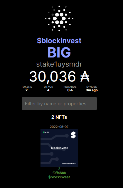 🔥The BIG have just funded the first 30k ADA into our Long-Term Cardano NFT Wallet ($blockinvest) Which Cardano NFT Project should we buy first 👀 Shill to us on why youre bullish LONG TERM
