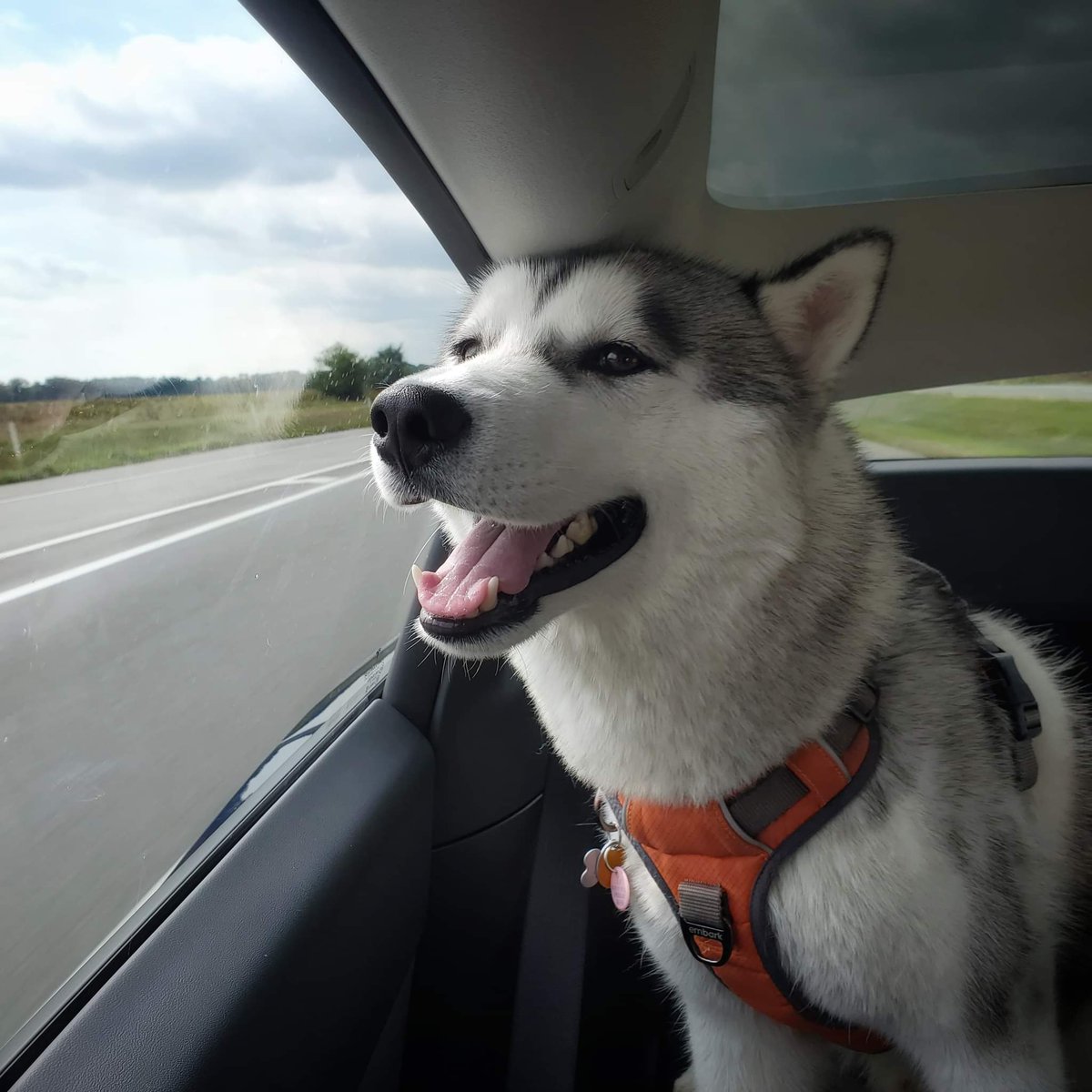 AriCohn's tweet photo. On the road for a few weeks to unwind and reset, so mostly just vacationposting for a while while we make our way up to Maine and then down the coast, eventually ending up in DC for #TechProm. https://t.co/Zk1hYRBCy8