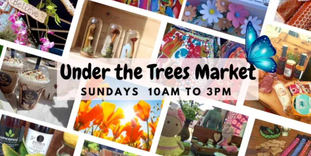 @PlumPets tweet media