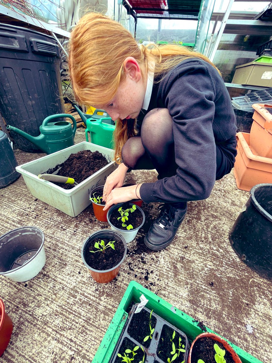 Garnock_club's tweet photo. From horticulture to landscaping 🪴#ruralskills #garden #school #teamworkmakesthedreamwork #garnock https://t.co/njEQM613mk
