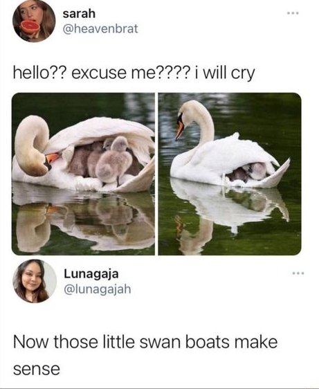 WholesomeMeme's tweet photo. via @heavenbrat https://t.co/MrIdF7SOLm