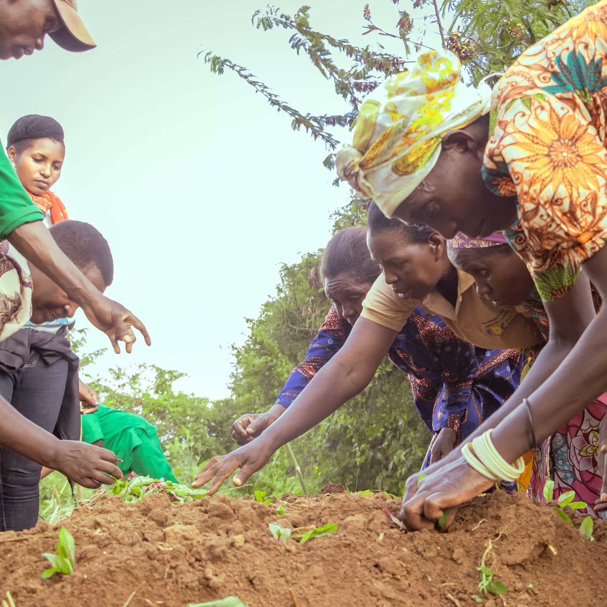 Gardens4Health's tweet photo. We were pleased to host neighboring parents at our office in #BedBuilding agriculture training. Mothers learned the advantages of the #BedBuilding method in growing healthy vegetables.
It was a joyful moment for the families and us to train together.
#family #mothers #parents https://t.co/tk0CqswKEn