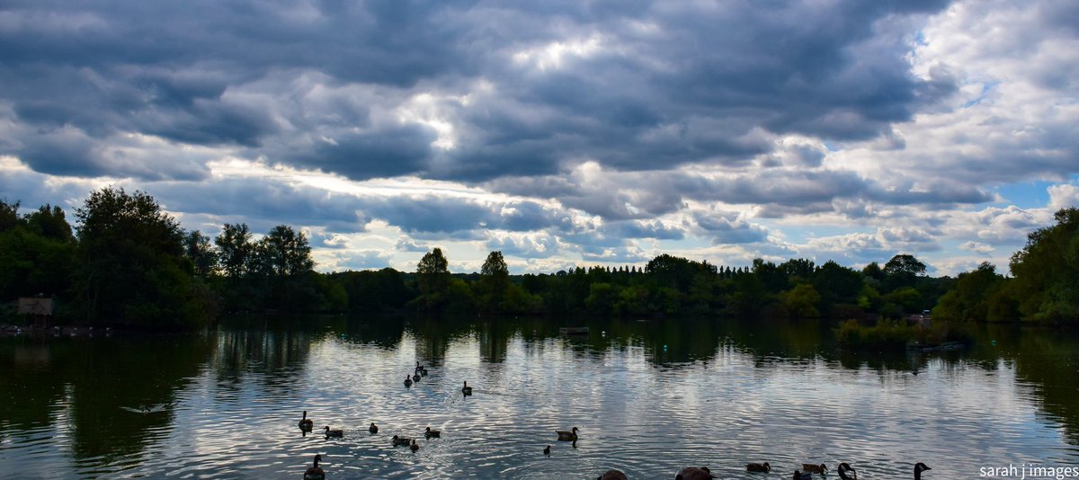sarahjimages's tweet photo. The nature discovery centre
#Scenery #water #waterscape #scenes #birds #bluesky #lighting #photography #photographer #waterscene #green https://t.co/Q1kpNM1Rd9