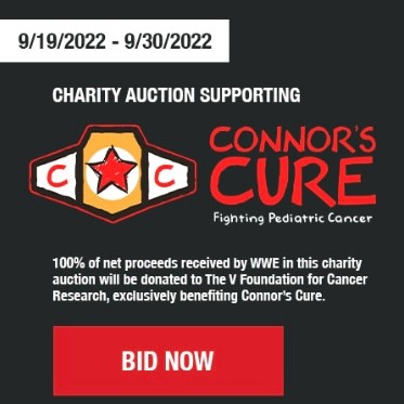 WWEAuctions's tweet photo. Head over to @WWEAuctions for your chance to bid on this @AlexaBliss_WWE SIGNED Lilly Doll. 100% of the net proceeds received by WWE from the sale of this doll will be donated directly from WWE to The V Foundation for Cancer Research, benefiting Connor's Cure. #WWE #WWEAuction https://t.co/Fh6mGFh021
