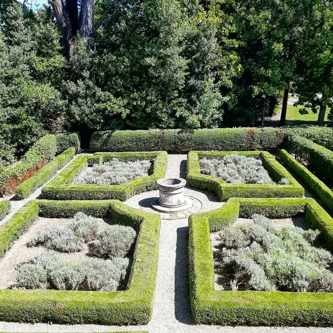 VENETISSIMO tweet media