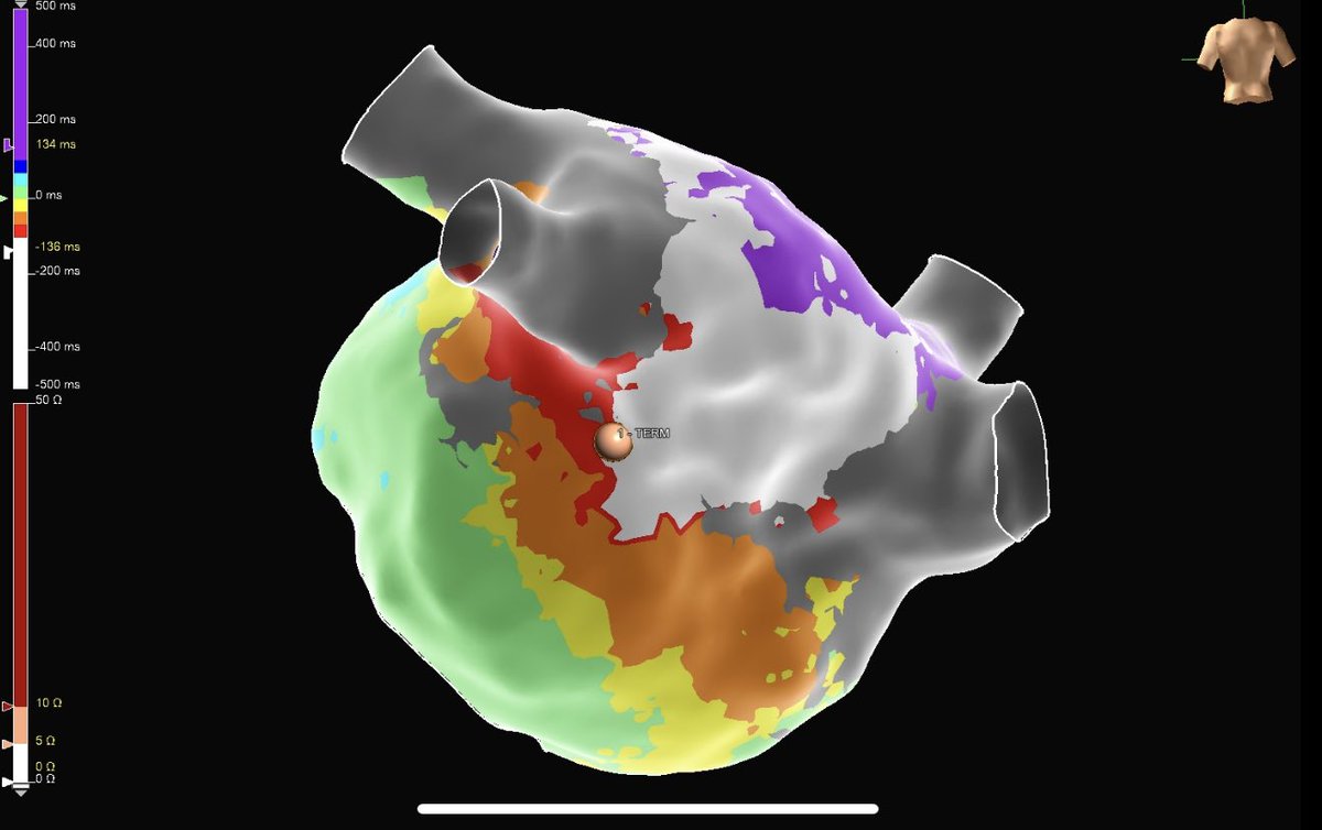 Meghan Philpot tweet media