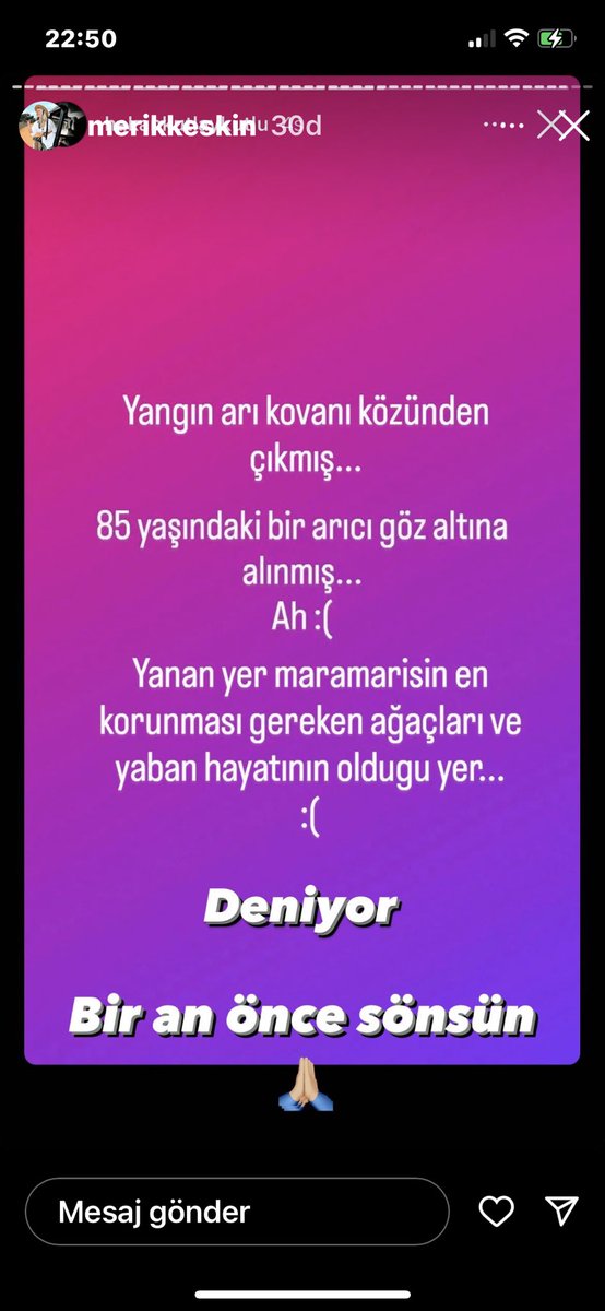 Demet Akalin tweet media