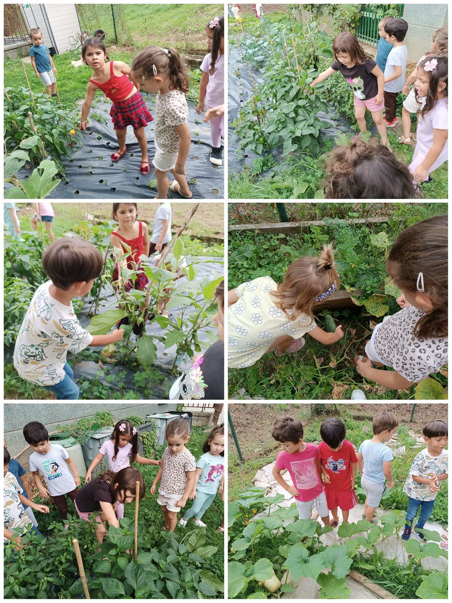 nlandache's tweet photo. Baratza bisitatu dugu eta zenbat barazki!! Ondoren piperminak potetan sartu ditugu. ¡Qué bien hemos comenzado! En la huerta han crecido un montón de verduras y además hemos embotado guindillas #baratza #agenda30 @MRE_Eskola https://t.co/sOhSm4M8rW