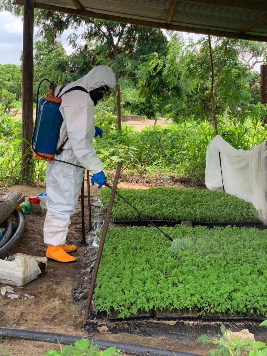 junior_ardo's tweet photo. Si vous avez besoins d'une personne experimenté pour vos traitements phytosanitaires veuillez nous contacter au 763650044 ou au 777581366.
@Baykatt_ @homart_ @Nabyleu @SalifBA19 @diopadou @SeydinaBNDiouf @0brienboye https://t.co/R16SxgdqBb