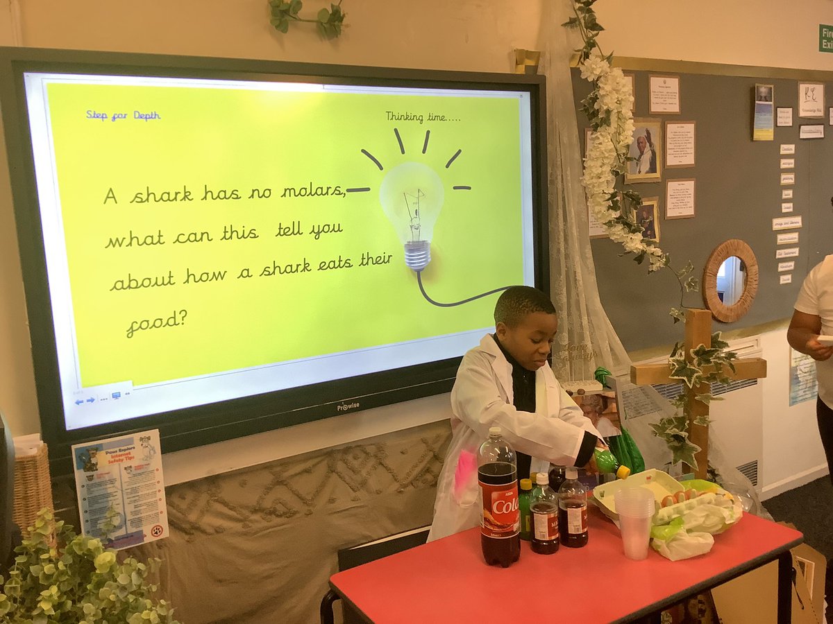 SJBsolihull's tweet photo. Year 4 #sciencesuperstars have been busy today. They set up an experiment to observe the effect of different liquids on eggshells, as they couldnβt use real teeth! They made their predictions ππ€ #SJBWeAreScientists @OurLadyandAllS1 #AllSaintsAreRiskTakers π‘π¦· https://t.co/f9vGQGbxx0