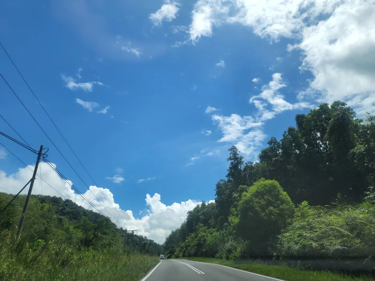Koogly's tweet photo. Open Roads and Mountains! And to top it off Bunnies and Food!🤣🤣

#Anotherday #Malaysia #sabah #kundasang #wanderlust #traveldiaries #roadtrip https://t.co/e21VfNmtua