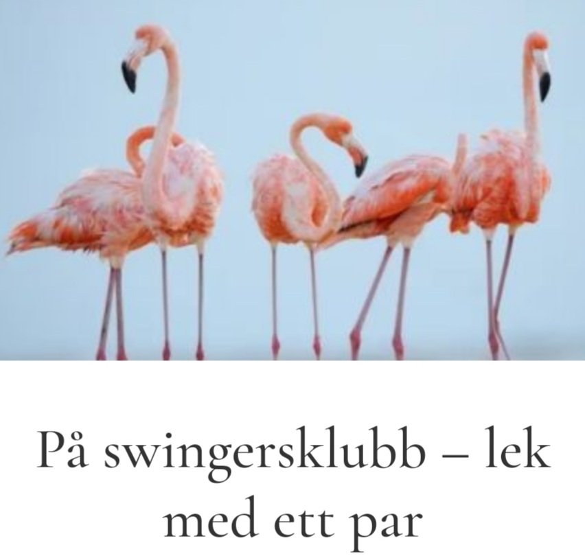 ESensuella's tweet photo. Novell på hemsidan, in och läs, vettja!
#sensuell #sexigt #fantasi #sexnovell #sexliv #erotisklitteratur #sexualitet #njutning #sexinspiration #kärlekstips #relationstips https://t.co/Jhx9UWRg7J
