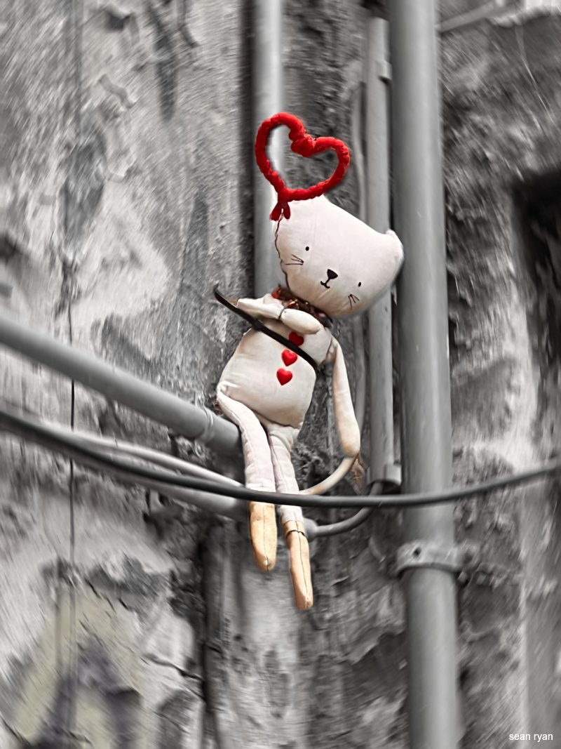 blearytheory's tweet photo. Tiny doll with hearts, placed among gutter pipes in alleyway, Berlin
#grafitti #streetart #doll #teddy #bear #love #berlin #berlinart #berlinstreetart #berlingrafitti https://t.co/8EdFnC3pWO