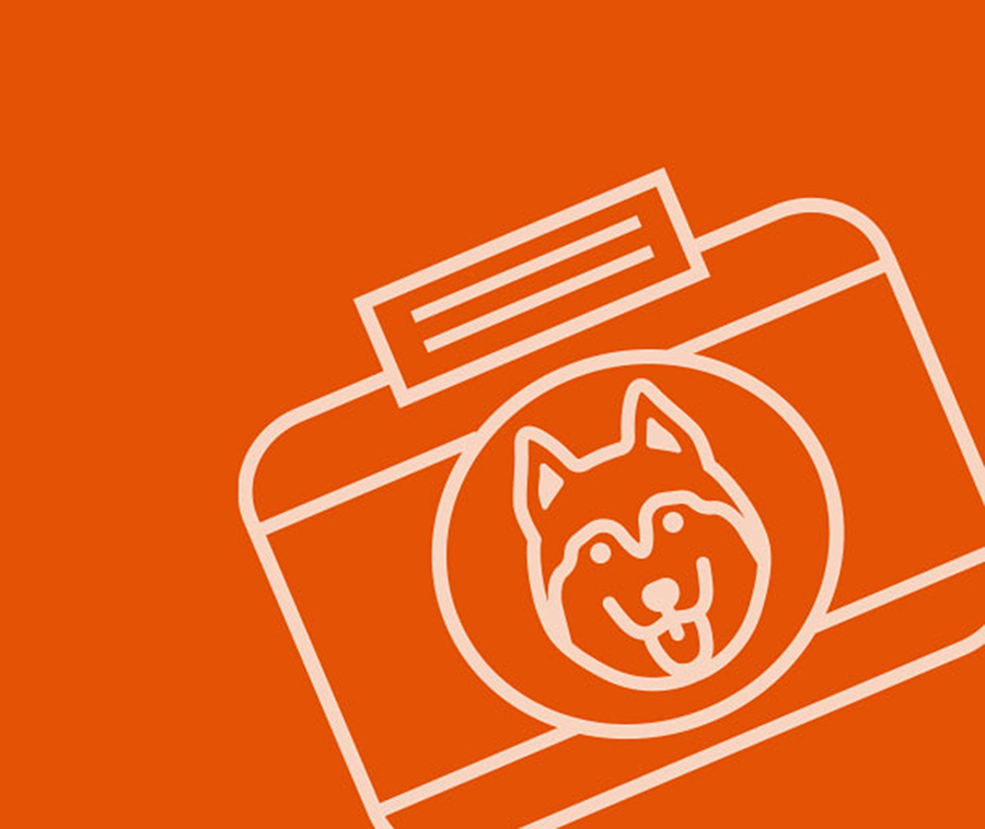 One company making the world a better place for dogs and all of us is <a href="/TheOrvisCompany/">The Orvis Company</a>. They’ve donated nearly $2M to canine health studies at Morris Animal Foundation, all because they understand how much better life is with a dog by your side. maf.link/OrvisBlog