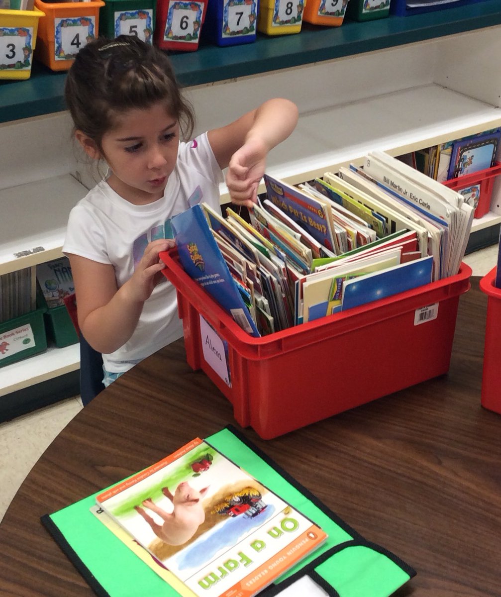 tchanatski's tweet photo. It’s book shopping day!📚❤️👩🏻‍🏫What topics are you interested in?@Hubbard_School @LanguageArtsRSD #bookbaggies #8greatbooks #pickingbooks #previewing #readingmakesyoufeelgood https://t.co/qQ3ugoGTYJ