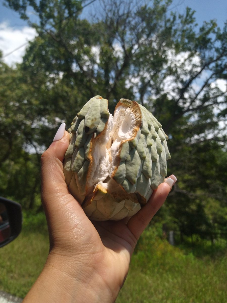 Hilama 😋😍😍sur de Edo México