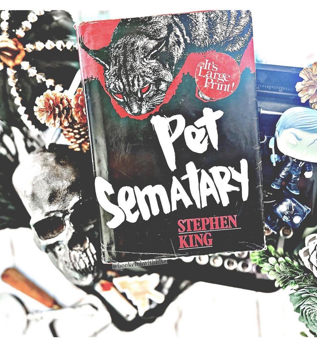 bookclubwbite's tweet photo. Happy 75th 💀🎈 @StephenKing .
.
• "I'm like the horror version of the Catholic Church. Give them to me young and they'll be mine forever."
-SK on Colbert.
.
.
#stephenking #horroraddict #readordie #constantreader #horror #bookdragon #HappyBirthdayStephenKing #bookclubwithbite https://t.co/sYCMuryFsn