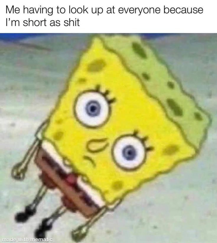 ImSoHonestTho's tweet photo. #shortgirl #short #shortpeople #SpongeBob #shortmemes #meme #memes https://t.co/TcQ6qRYlFu