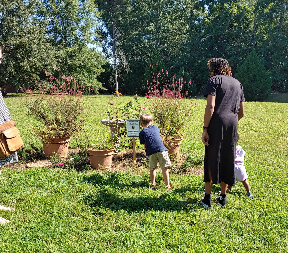 MGRLibraries's tweet photo. The butterfly garden at Charles A. Lanford Library which is on the #RosalynnCarterButterflyTrail and a National Wildlife Federation Backyard Wildlife Habitat has had a monarch caterpillar sighting!
πΈ: Melise, Charles A. Lanford Library
#GALibraries #MyMGRL #pollinators https://t.co/TjrGWrnFwj