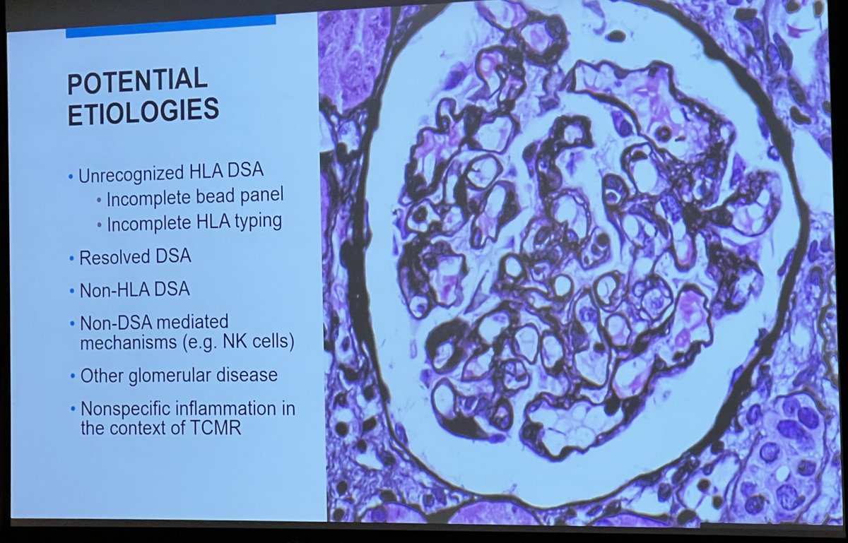 Leonardo V. Riella tweet media
