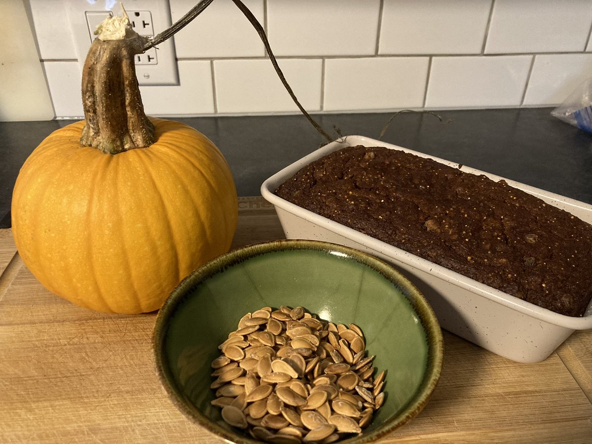 k_hansler's tweet photo. Campus Art students were treated to the most delicious Pumpkin Loaf made from the a pumpkin grown at Northcote. The best way to enjoy the fruits of our farm during cocurriculars @LakefieldCS https://t.co/NNE5OLTiLS