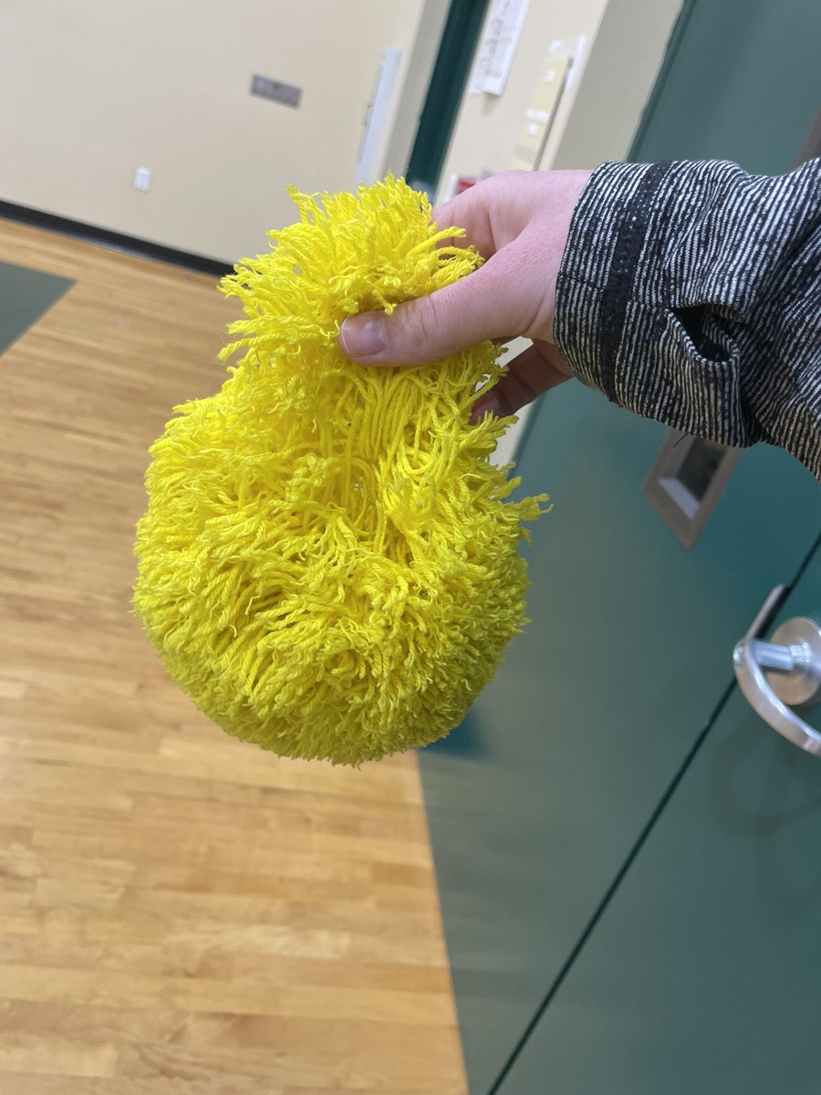 Fluff ball casualty ☠️ 

Has anyone ever seen this before? It just completely fell apart. 

#PhysEd #elemphysed #RIP