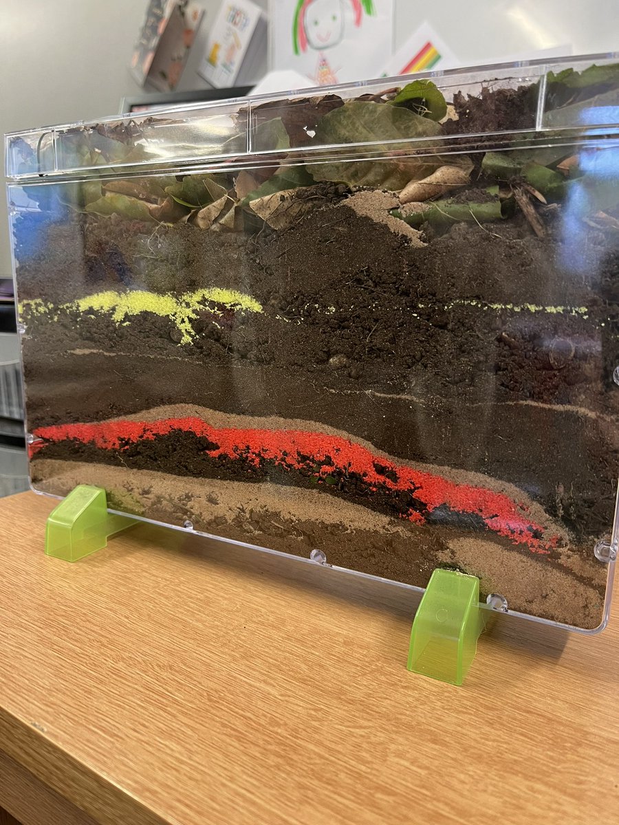 We built our own class wormery today! Guess what book we are reading in Year 1 📖