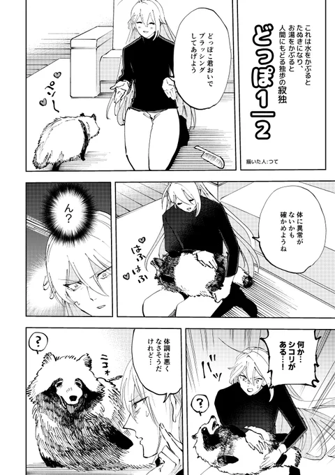 水をかぶるとたぬきになり、お湯をかぶると元の人間に戻るどっぽの寂独です!!!2020年に描いたものです 
