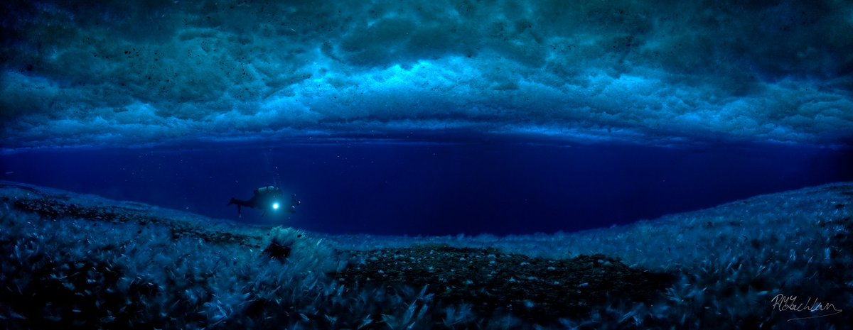 Trying my hand at underwater panoramas. Here is Dr. Andrew Thurber of <a href="/ColdDarkBenthos/">Thurber Lab @ OSU</a> cruising under the sea ice and over the anchor ice at Daytons Wall, #McMurdo Sounds, #Antarctica