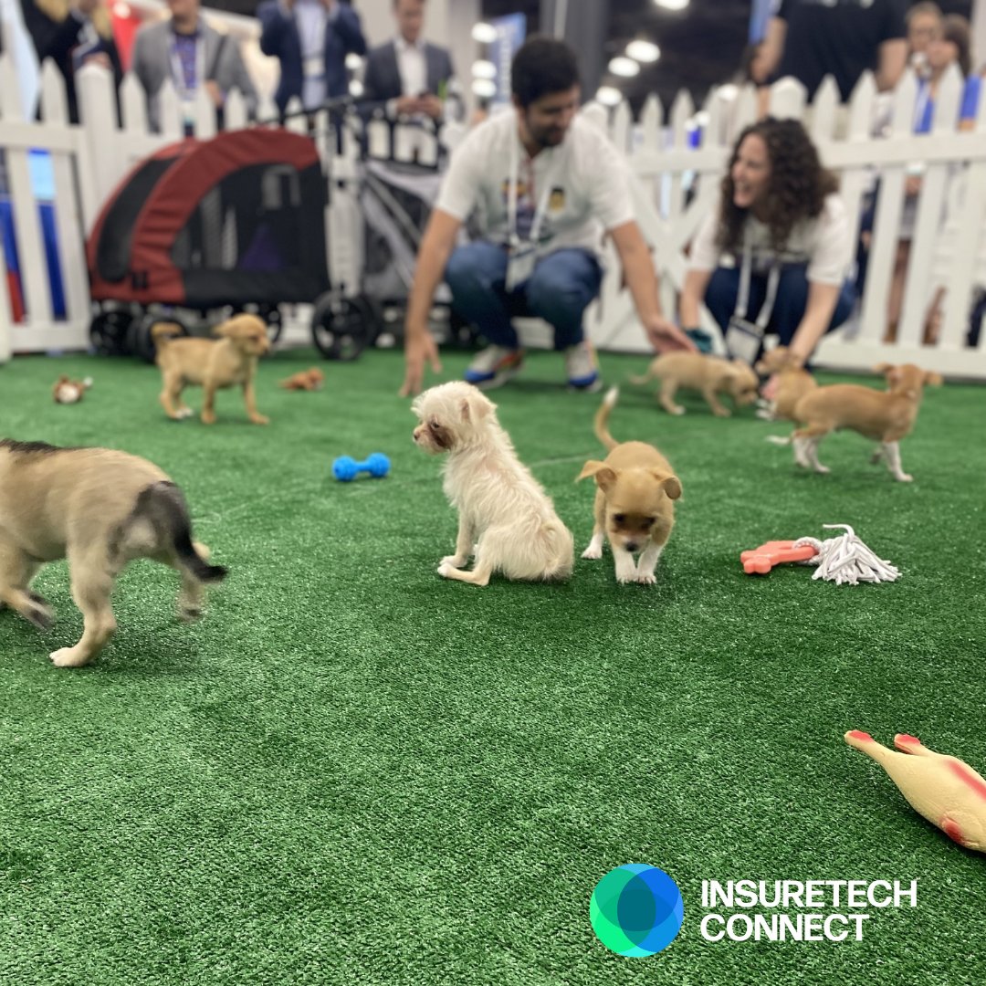 insuretechnow's tweet photo. Puppy therapy available at  #ITC2022! 🐶

#itc2022 #insurtech #techentrepreneur #insuranceindustry #insuranceagent #technews #innovation #networkingtips #insurancework #insurtechstartup #insurtechinsights #technologystartups #techstartups #insurancetechnology https://t.co/Ea2SIOSOPT