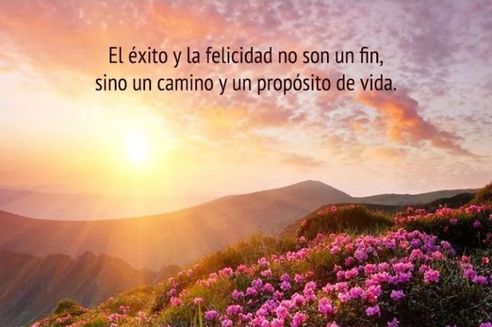 rey_evans06's tweet photo. 🌄☀️❤️💪💯 https://t.co/Mzgt4aOLPA