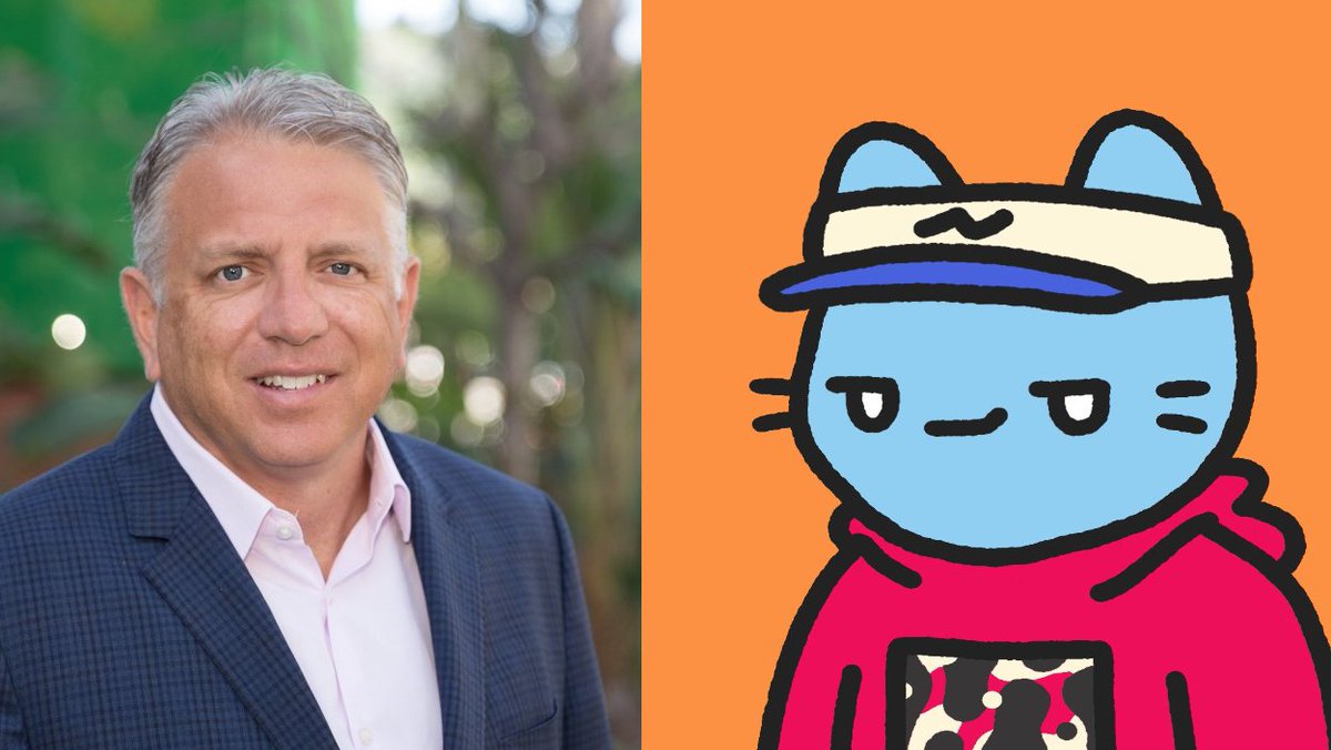 Stephen Teglas (<a href="/ChiefCoolCat/">ChiefCoolCat</a> ) was announced as the new CEO of Cool Cats. He brings experience, leadership, and the right connections.

What did we learn about him in today's Town Hall?