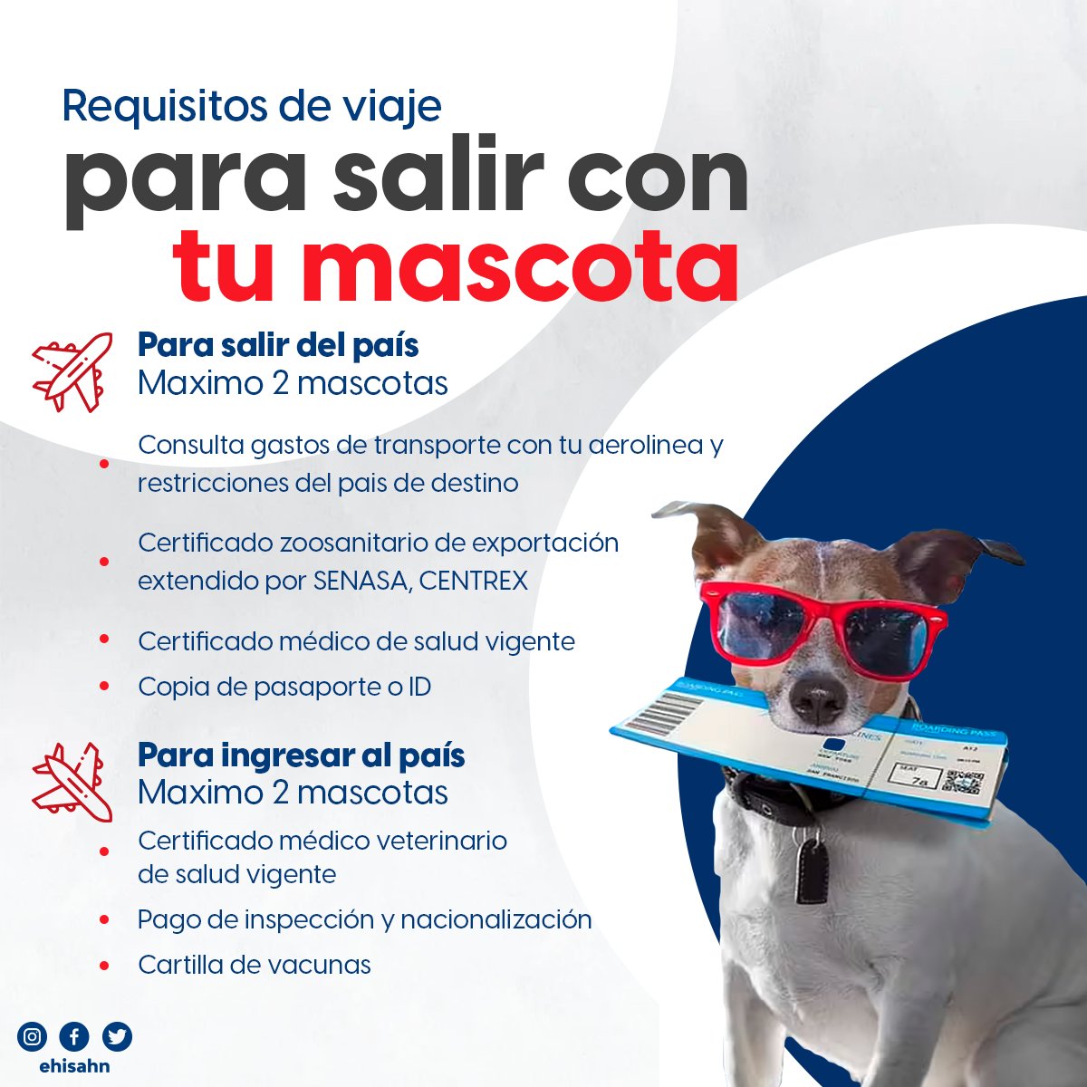Ehisahn's tweet photo. Si quieres ir de paseo con tu perro o gato toma nota de todos los documentos que debes tener antes llegar al aeropuerto.
Informate más:
https://t.co/fq7zzPOeJn
#SAP #LCE #RTB #Aeropuerto
#Honduras https://t.co/MntCEPx5bp